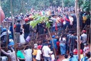 Ribuan penonton memadati arena adu bagong, di dusun Kucing, Sumedang.